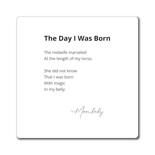 The Day I Was Born - Magnet